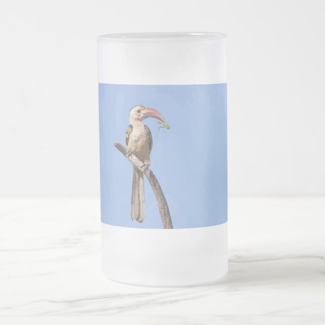 Rotschnabel Mattglas Bierglas (Mittel)