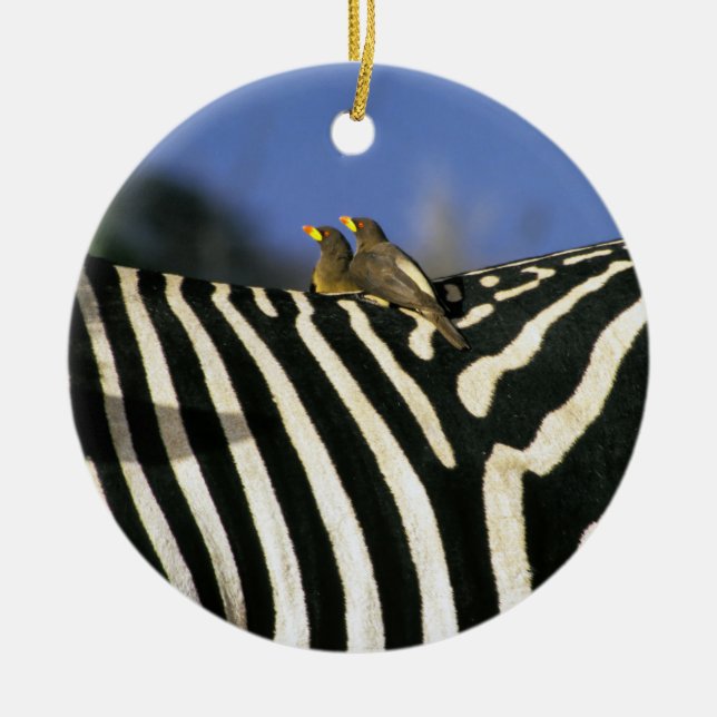 Rotschnabelspecht auf einem Zebra-Rücken - Simbabw Keramik Ornament (Vorne)