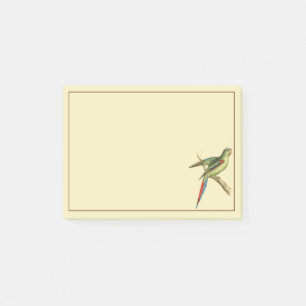 Rotschulter Post-it Klebezettel