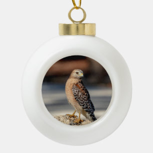 Rotschulterbussard auf einem Felsen Keramik Kugel-Ornament