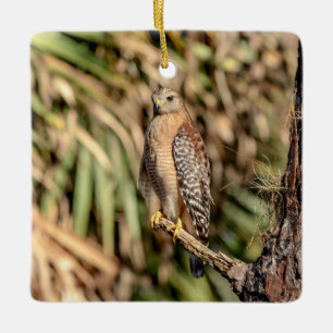Rotschulterbussard in einem Baum Keramikornament