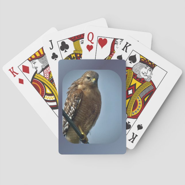 Rotschulterfalke Spielkarten (Rückseite)