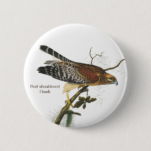 Rotschulterfalken, Audubon, Birdwatchers Vogel Button