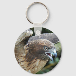 Rotschwanz-Hawk-Foto Schlüsselanhänger
