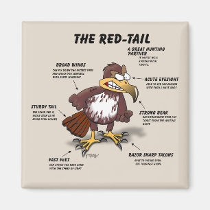Rotschwanzbussard Cartoon Magnet