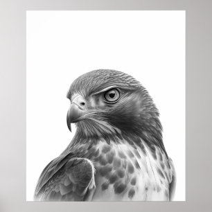 Rotschwanzbussard Vogelporträt Schwarz Weiß Poster