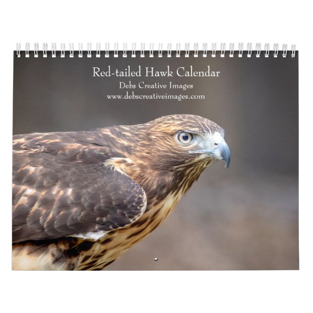 Rotschwanzfalken 2026 kalender (Titelbild)