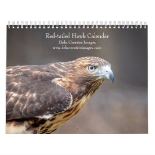 Rotschwanzfalken 2026 kalender