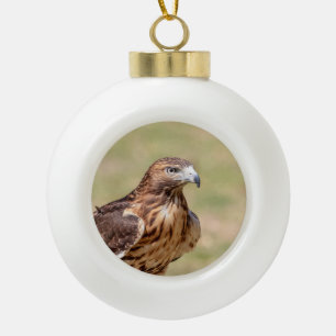 Rotschwanzfalken im Hudson-Tal Keramik Kugel-Ornament