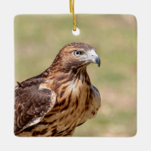 Rotschwanzfalken im Hudson-Tal Keramikornament