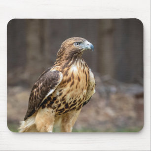 Rotschwanzfalken im Hudson-Tal Mousepad