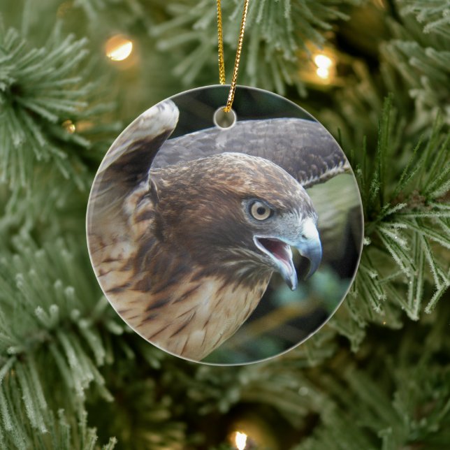 Rotschwanzfalken-Raptor-Foto Keramik Ornament (Baum)