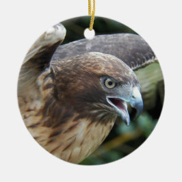 Rotschwanzfalken-Raptor-Foto Keramik Ornament