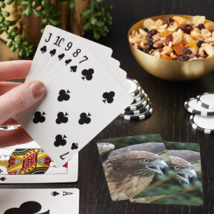 Rotschwanzfalken-Raptor-Foto Spielkarten
