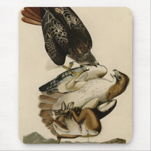 Rotschwanzfalken von Audubons Vögeln in Amerika Mousepad