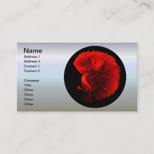 Rotschwanzfisch Visitenkarte