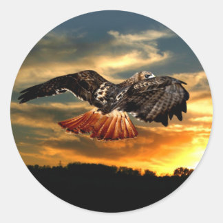 Rotschwanzhawk Runder Aufkleber