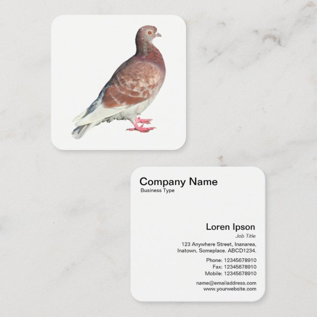 Rotschweine Quadratische Visitenkarte (Vorne/Hinten)