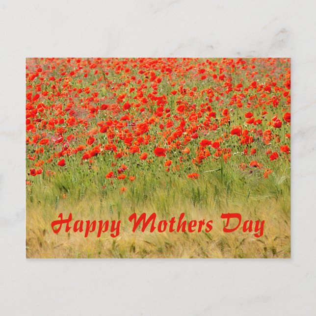 Rotsommerliche Blume, Muttertag Postkarte (Vorderseite)
