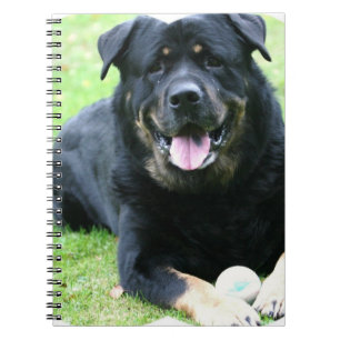 Rottie Notizbuch Notizblock