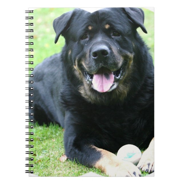 Rottie Notizbuch Notizblock (Vorderseite)
