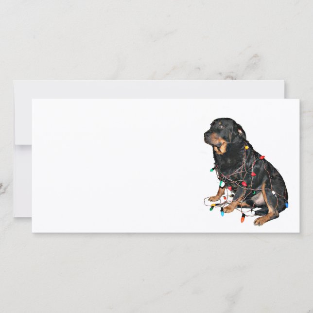 Rottie Weihnachtsboo Feiertagskarte (Vorderseite)