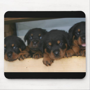 rottie Welpen Mousepad