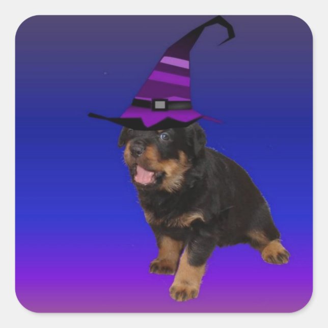 Rottie Witch Quadratischer Aufkleber (Vorderseite)
