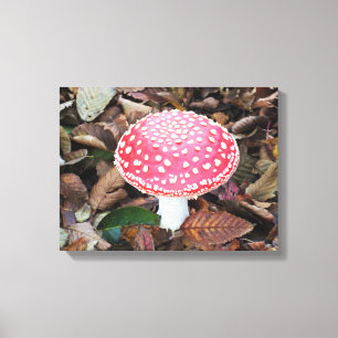Rottoadstol, Amanita muscaria Leinwanddruck