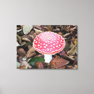 Rottoadstol, Amanita muscaria Leinwanddruck