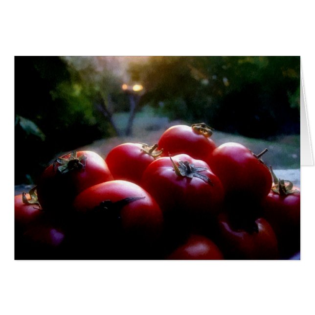 RotTomaten (Vorderseite (Horizontal))