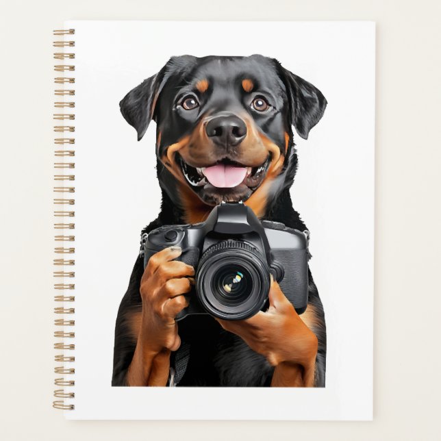 Rottweiler   (Devant)