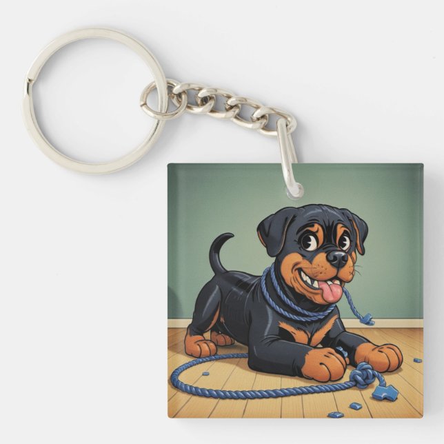 Rottweiler (Devant)