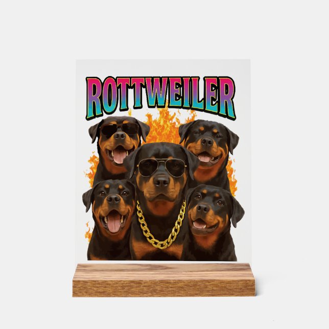 Rottweiler  (Recto)