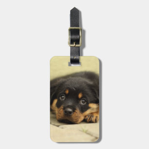 Rottweiler20150901 Gepäckanhänger