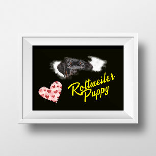 Rottweiler Augen einfarbig Poster