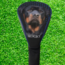 Rottweiler Blau