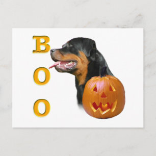 Rottweiler Boo Postkarte