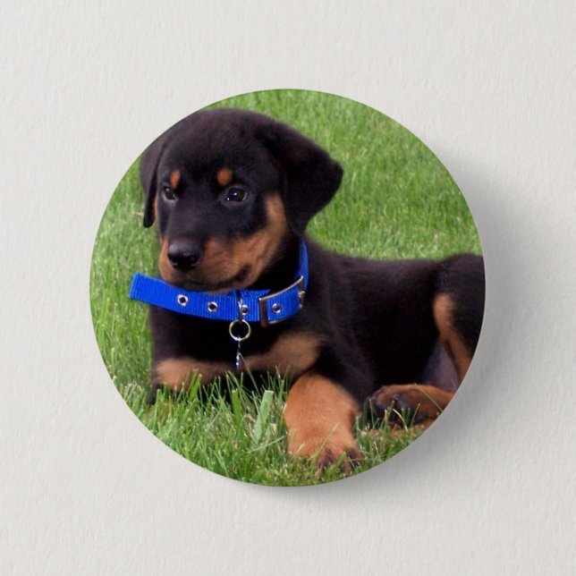 Rottweiler Button (Vorderseite)