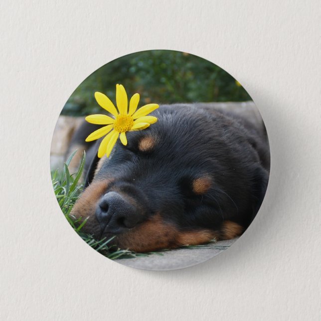 Rottweiler Button (Vorderseite)