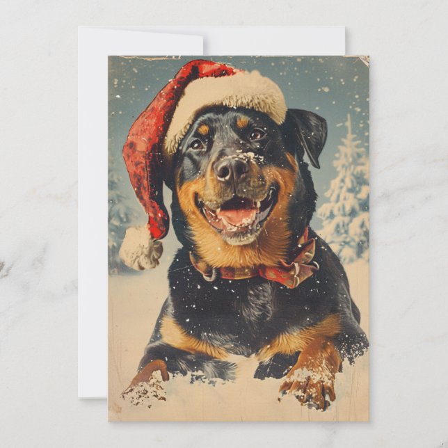 Rottweiler Christmas Feiertagskarte (Vorderseite)