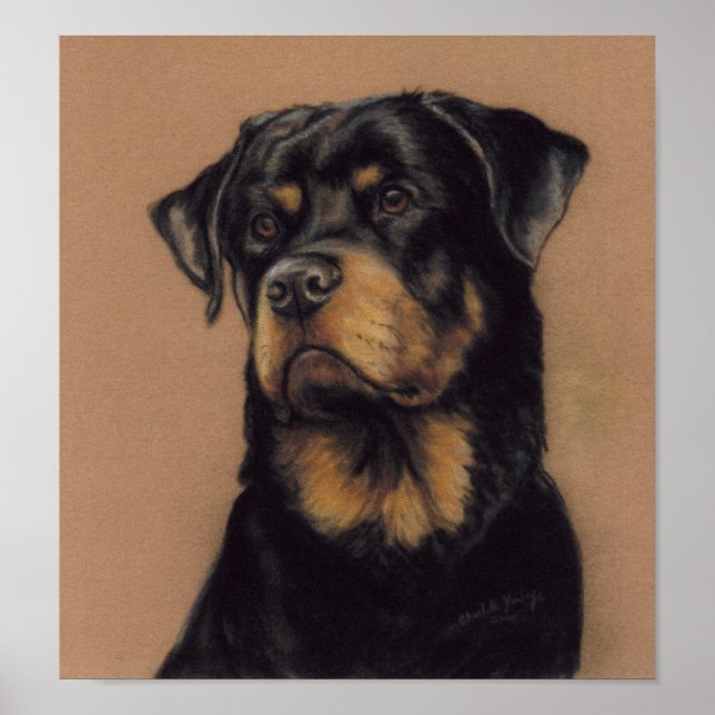 Rottweiler Dog Art Print Poster (Vorne)