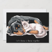 Rottweiler Dog Cat Dream Cuddle Holiday Card