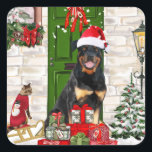 Rottweiler Dog Christmas Quadratischer Aufkleber<br><div class="desc">Rottweiler Hunde Weihnachten sitzend draußen geschmückt Zuhause mit Weihnachtskranz,  Weihnachtsbaum ist eine perfekte Weihnachtsgeschenk Idee für Hundefreunde.</div>