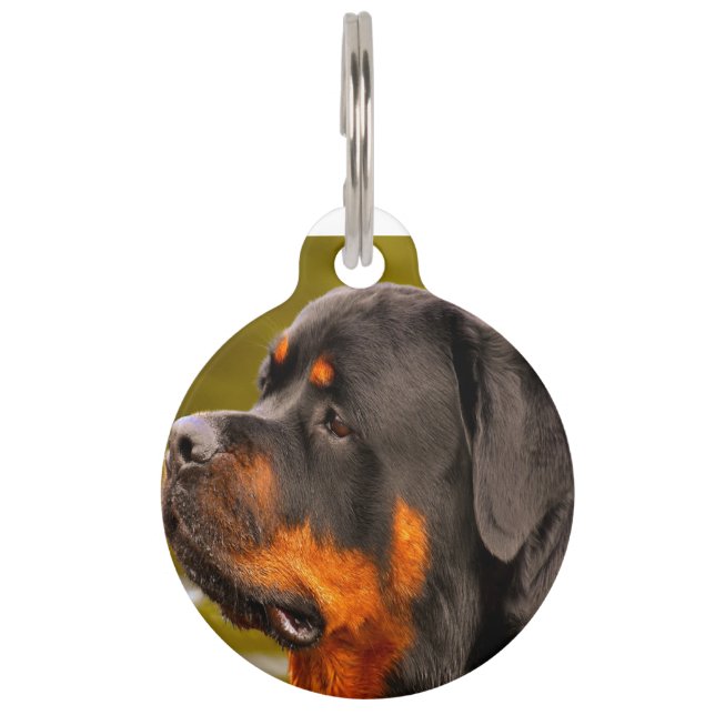 Rottweiler Dog Haustiermarke (Vorderseite)