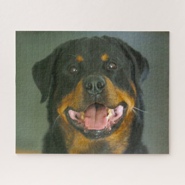 Rottweiler Dog Jigsaws. (Horizontal)