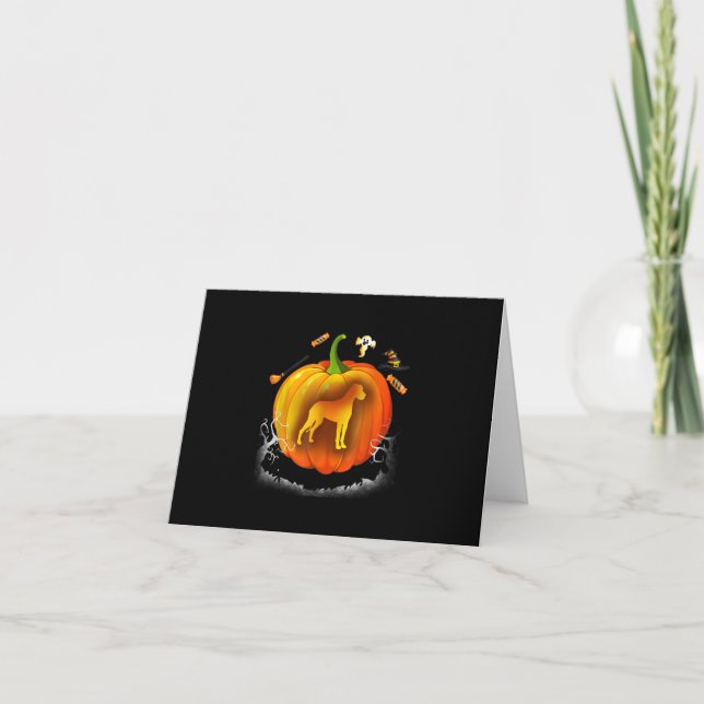 rottweiler dog pumpkin costume halloween (Vorderseite)