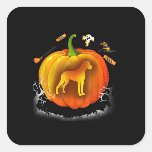 Rottweiler dog Pumpkin Costume Halloween Quadratischer Aufkleber