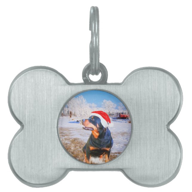 Rottweiler Dog Weihnachtsmalerei Tiermarke (Vorderseite)