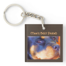 Rottweiler Editable Portrait Beautiful Animal Dog